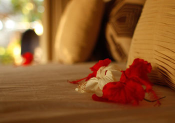 Stephanie Ocean Resort Malindi Eksteriør bilde
